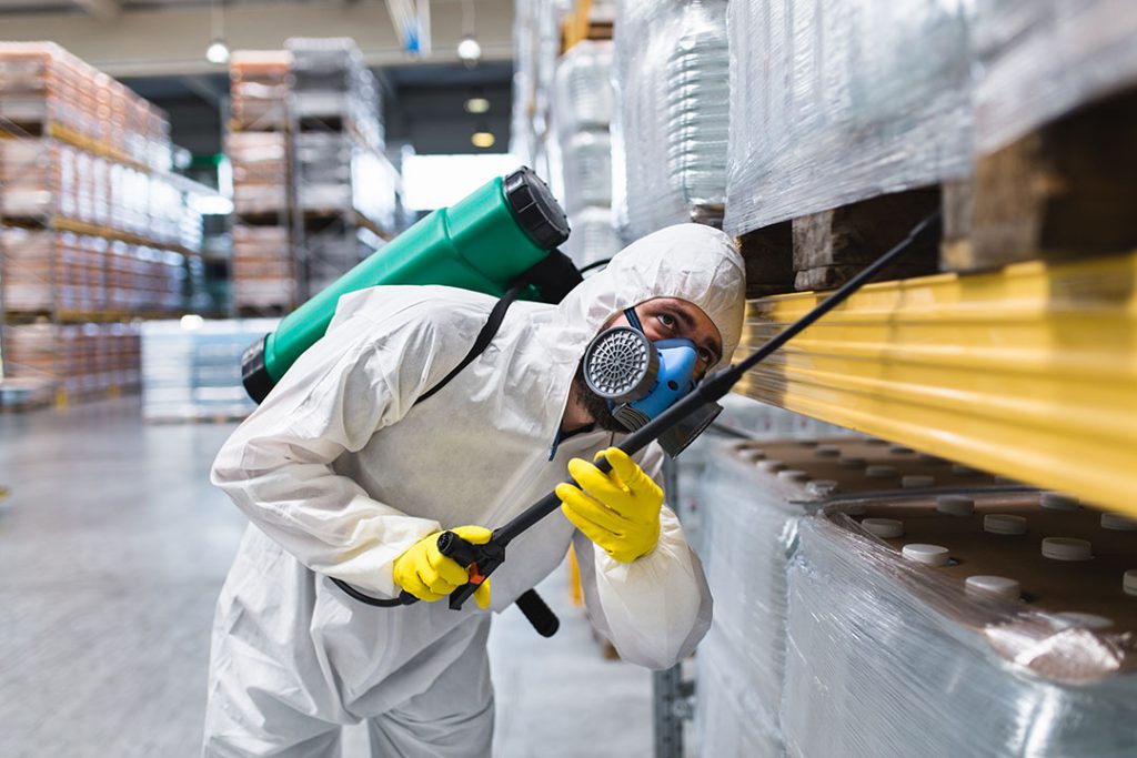 You may consider hiring a professional pest control service if your home or garden is affected by pests. However, you have to think about which business you can trust, as these days there are a lot of them on the market.
