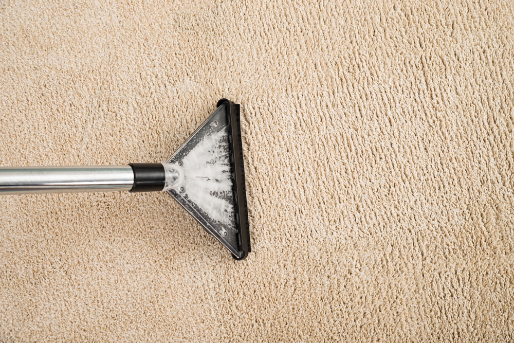 wet carpet cleaning northern beaches sydney